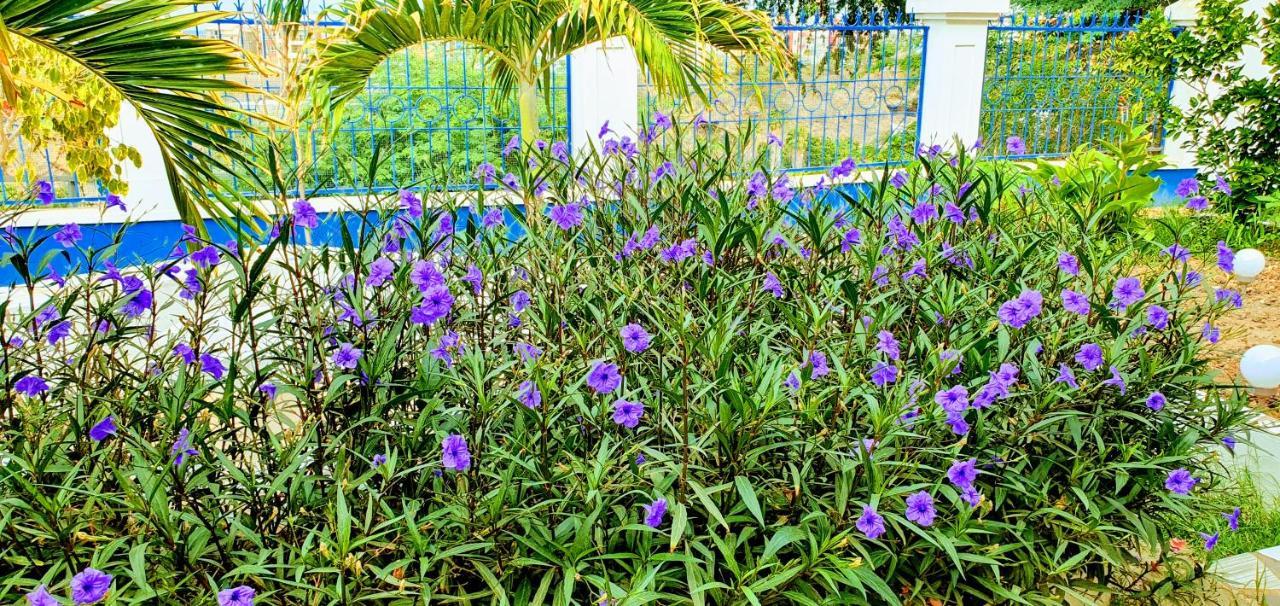 Kelly Guest House Praia Exterior foto